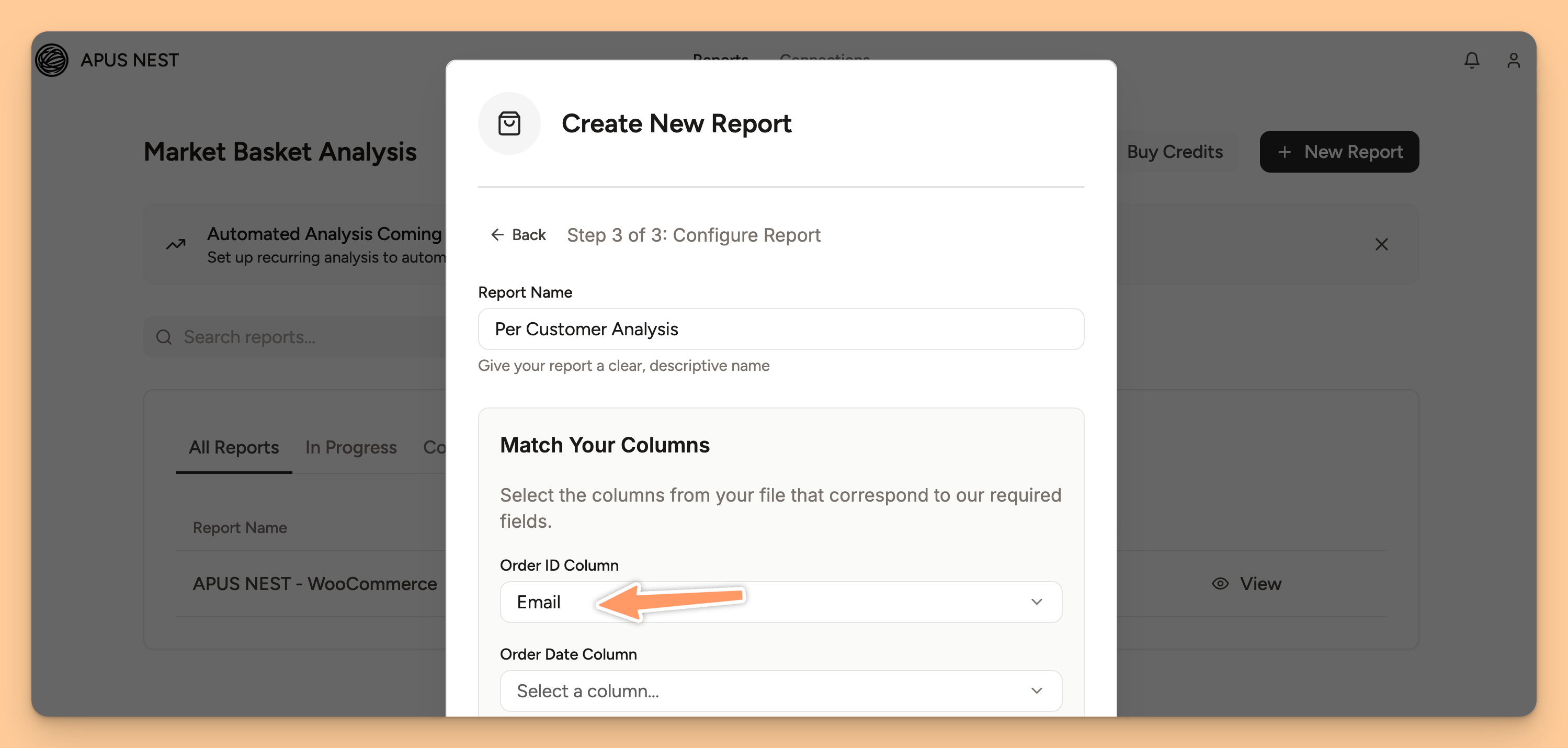 A UI screenshot from a tool like ApusNest showing a filter or toggle between 'Per Basket Analysis' and 'Per Customer Analysis'.